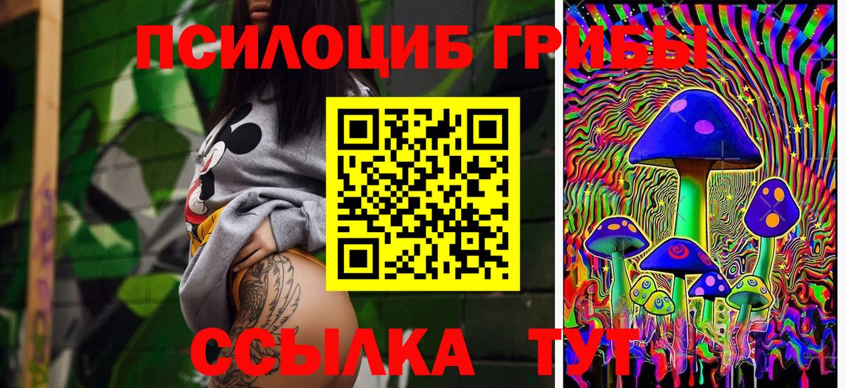 Ногинск  Галлюциногенные грибы Psilocybine cubensis  Вход с VPN 