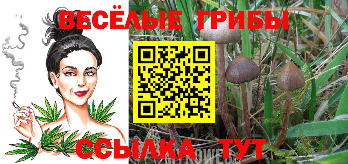Галлюциногенные грибы мицелий Ногинск